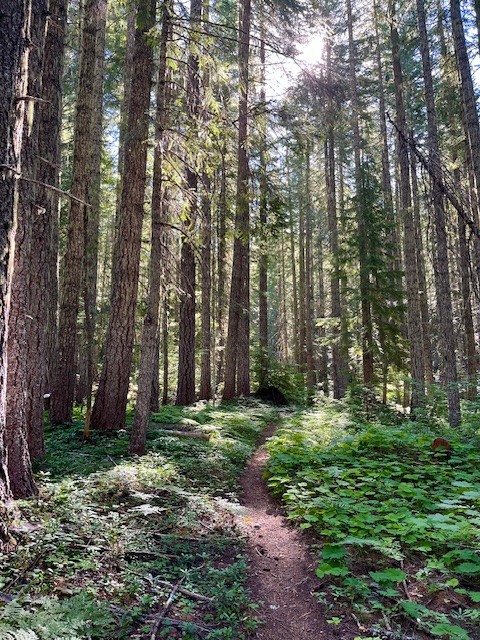 Maxwell Butte